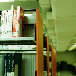 Biblioteca Comunale 