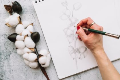 Arte del disegno - grafite e matite colorate